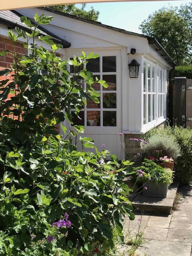 Norburton Hall Cottages Bridport Exteriör bild